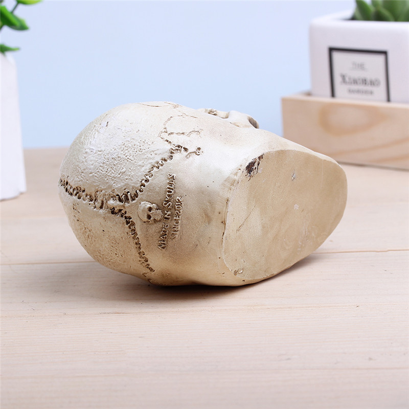 väike hele pealuu ornament puidust laual