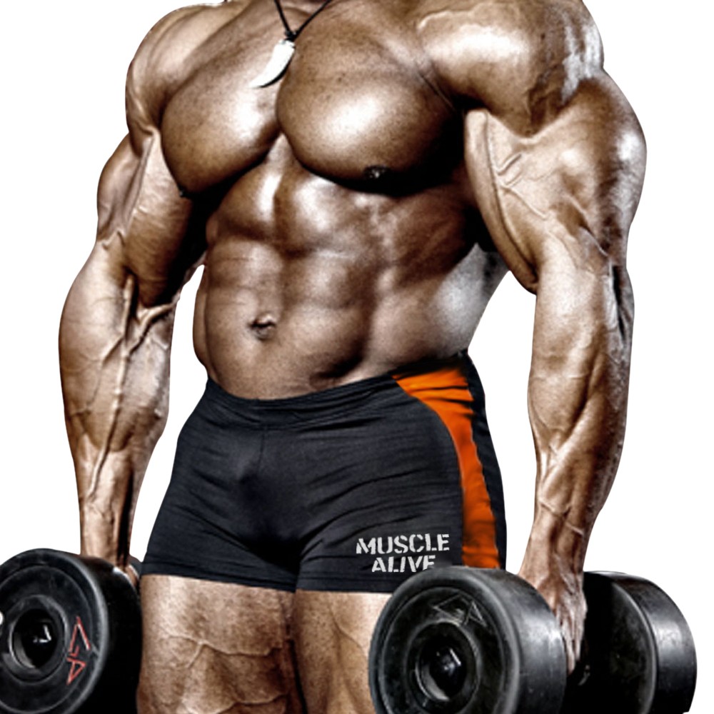 thumbnail image 2 of Muscle Alive Men's Bodybuilding Shorts - Black & Red Gym Training Tights Polyester Spandex 2 of 10