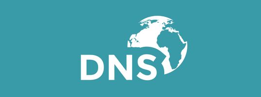 国内外提供免费的域名DNS解析的服务商