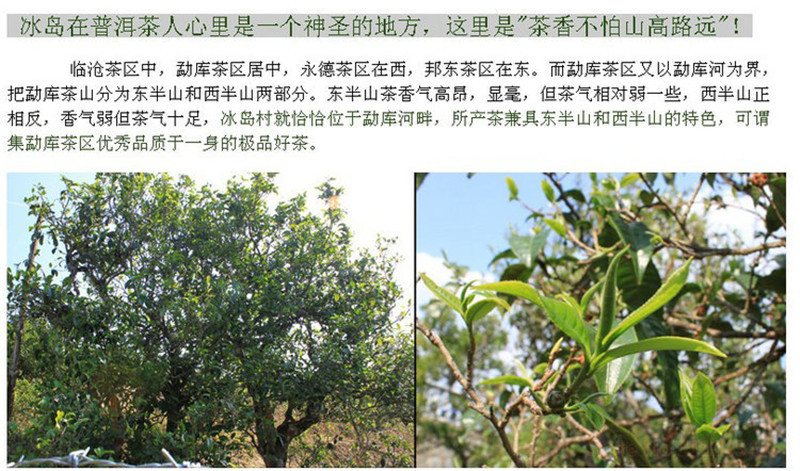  2012 year Wholesale Yunnan Pu'er tea raw puer tea 100g Iceland Wang sheng puerh Tuo tea puerh 100 g health food for weight loss 
