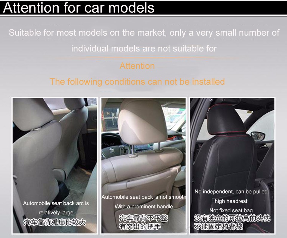 Vildist kate esiistmele | kujundav pilt e-kaubamaja pildikogust