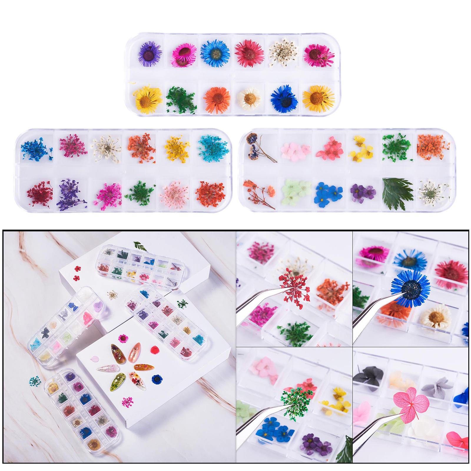 12 Color Real Dried Flowers 3D Nail Art Decor Design Manicure Accessories