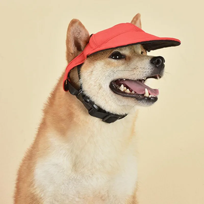 Un perro con gorra roja. El perro parece ser un Shiba Inu, una raza conocida por sus rasgos de zorro y sus ojos expresivos. La gorra es un poco grande para el perro, lo que le da un toque de humor a la foto.