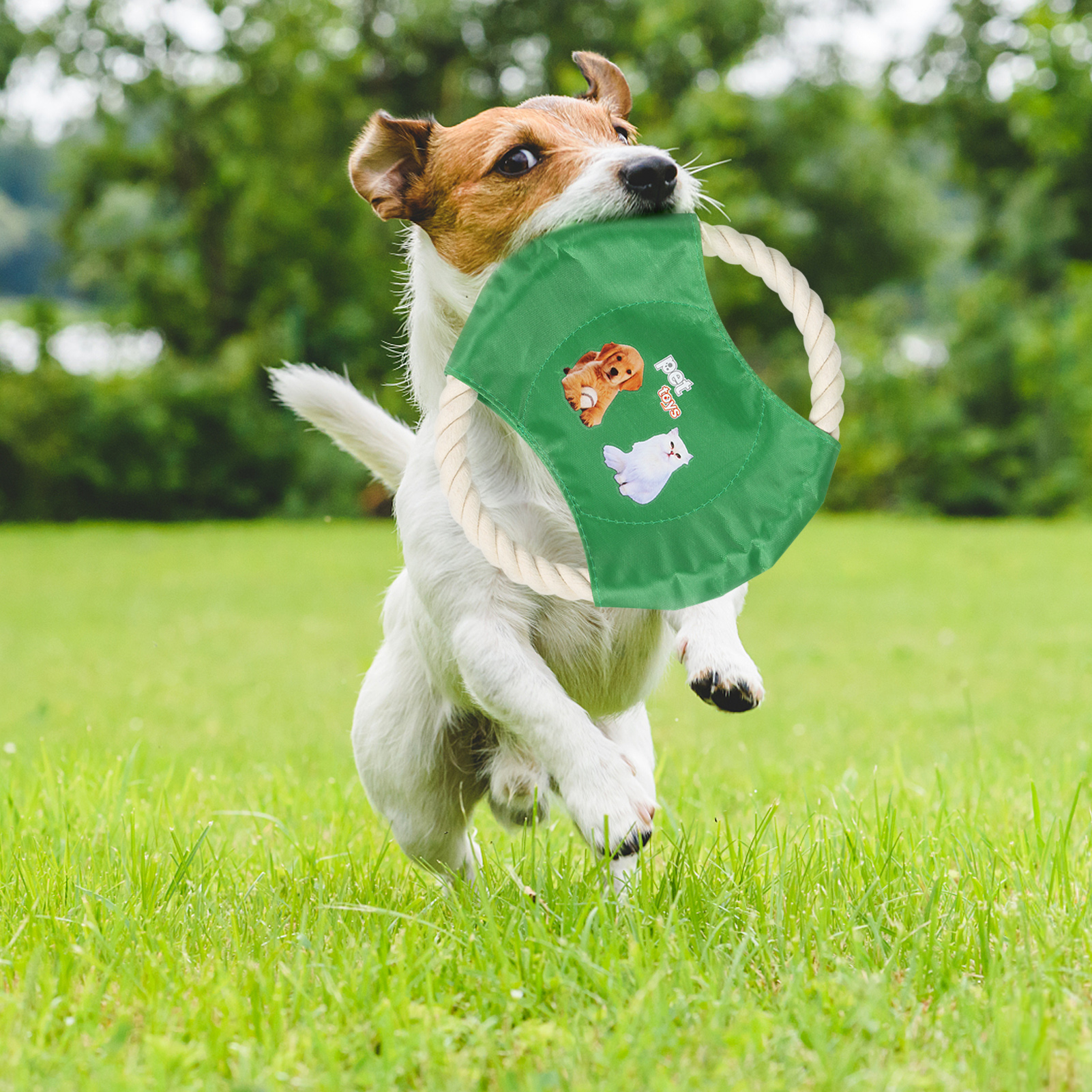 10 pçs cão algodão corda brinquedos filhote
