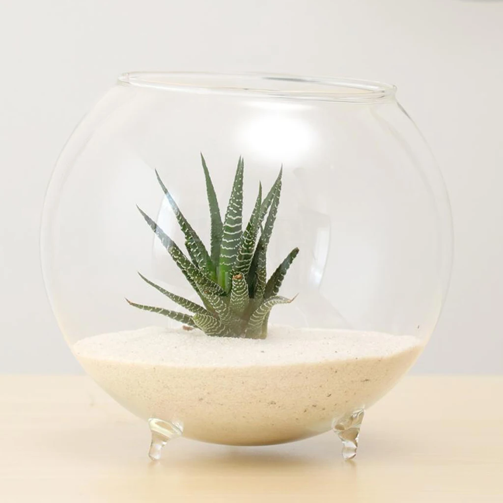 Clear Glass Vase Flower Planter Pot Terrarium Container Mini Fish Tank Bowl