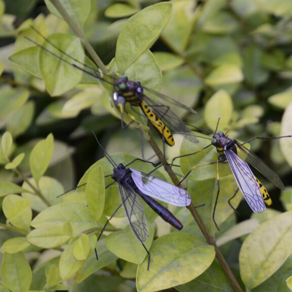 Artificial Mosquito Vivid Floating Hunting Handcraft Insect Ornament Indoor Outdoor Garden Decor Toys Mosquito Decor