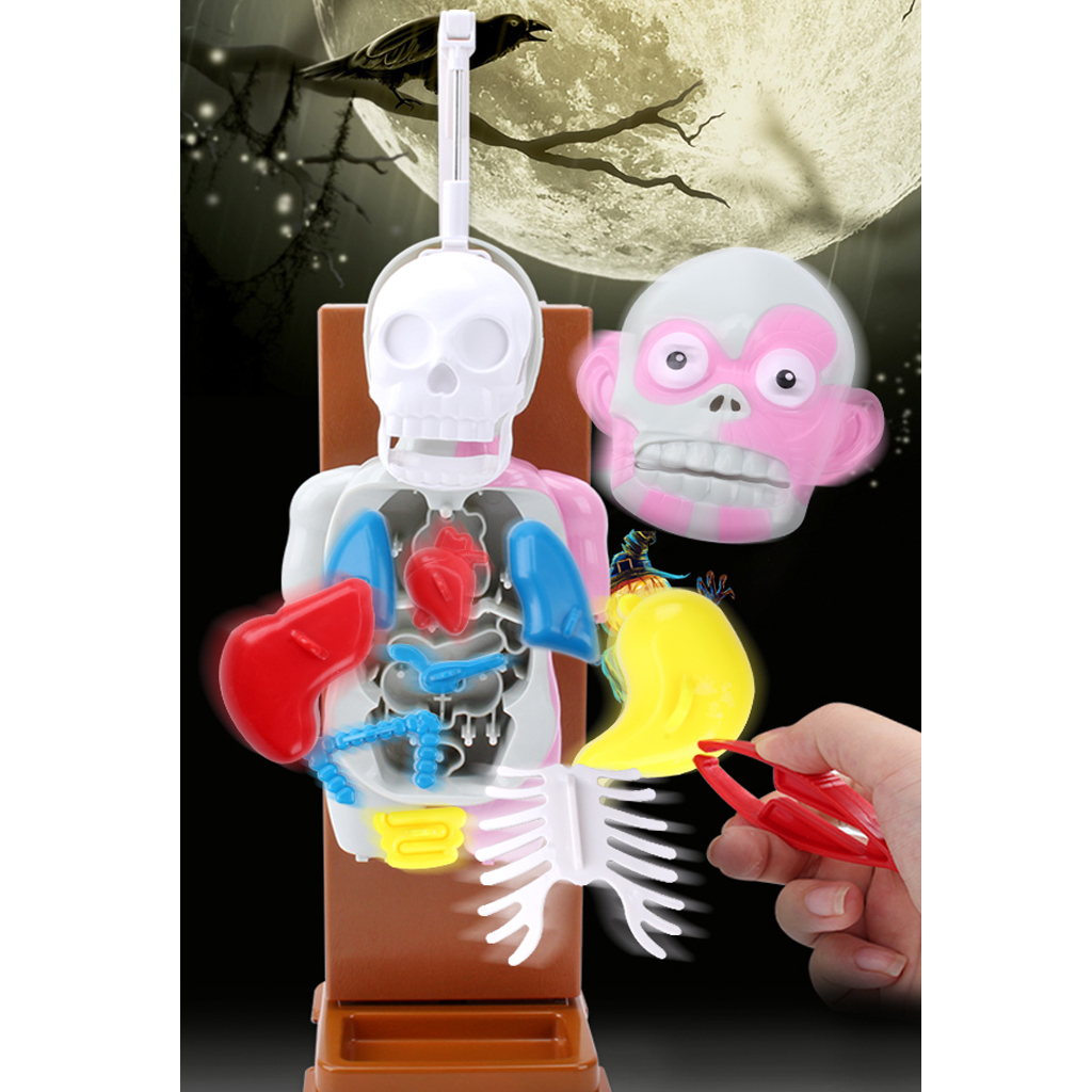 Kids Human Body Model Toy With Removable Organs, Family Fun Games for Halloween Party
