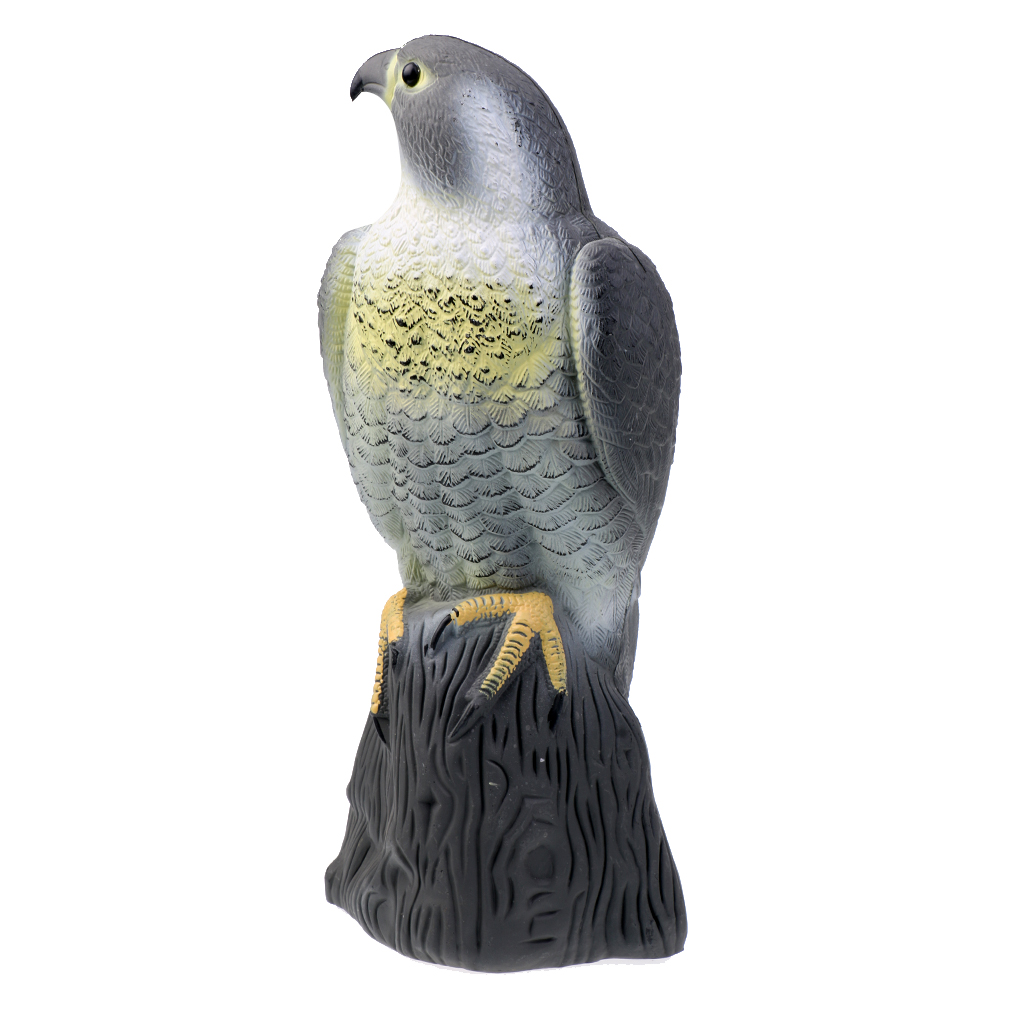 Description Picture 3 of itemLifelike Fake Falcon Hunting Decoy, Bird Repellent Scarecrow Decoy for