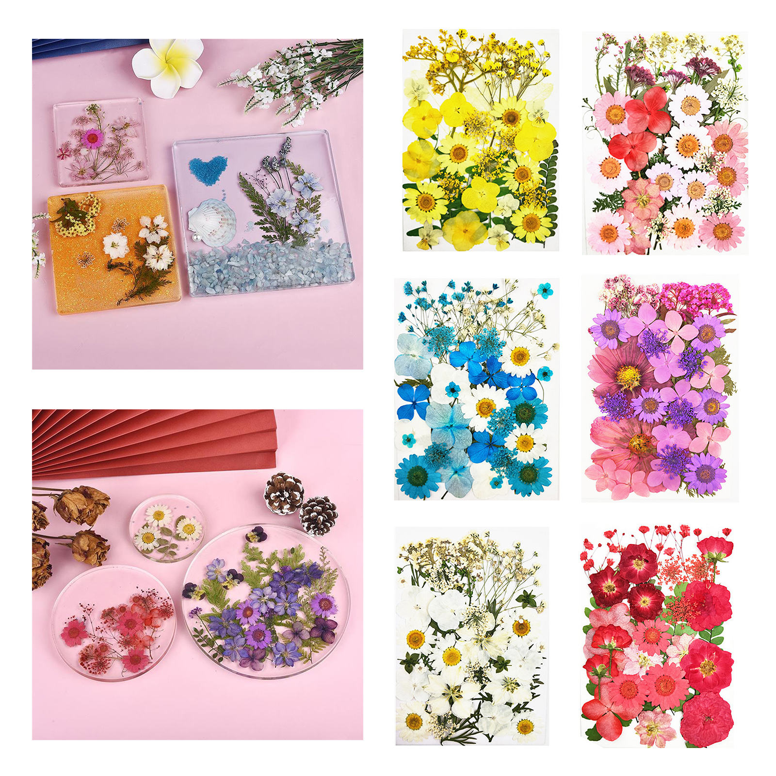 Real Natural Mixed Dried Pressed Flowers Leaves Petals for Nail Art, DIY Jewelry Design, Resin Phone Case,  Card, Stationery