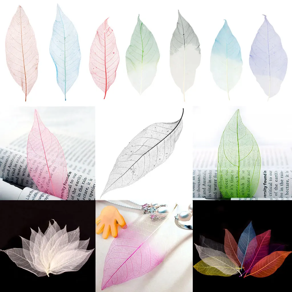 50 Natural Magnolia Skeleton Leaf Card Making Scrapbook Embellishments White