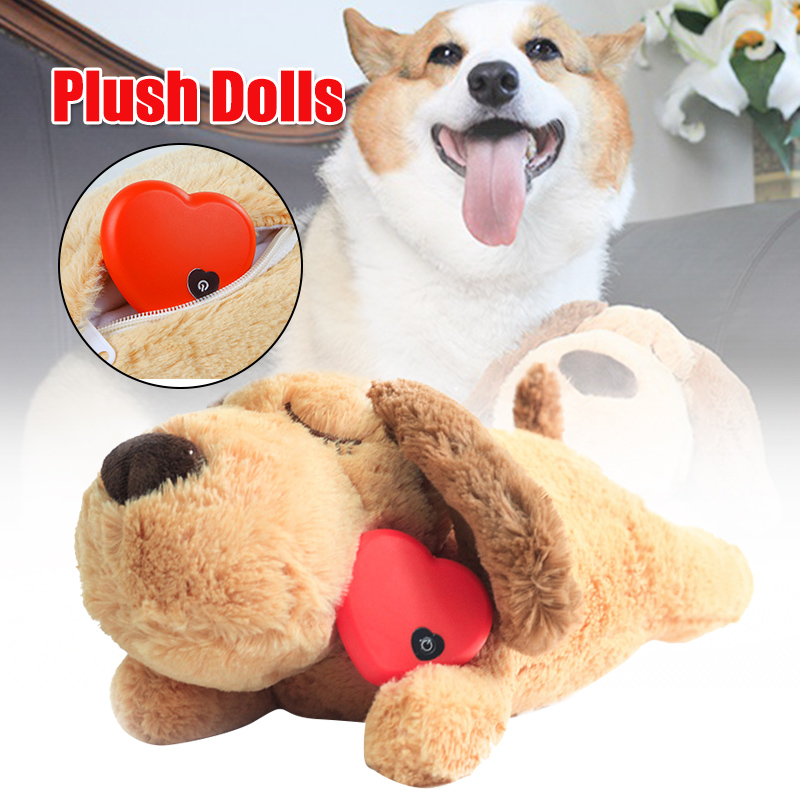 heartbeat teddy for dogs