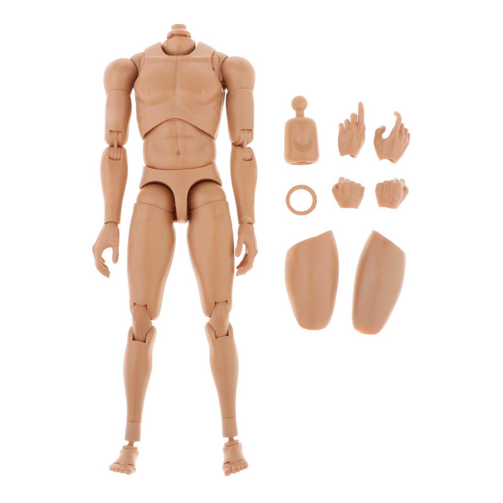 1/6 Scale Male Action Figure 12 Inch Jointed-Figure Muscle Body with Spare Neck