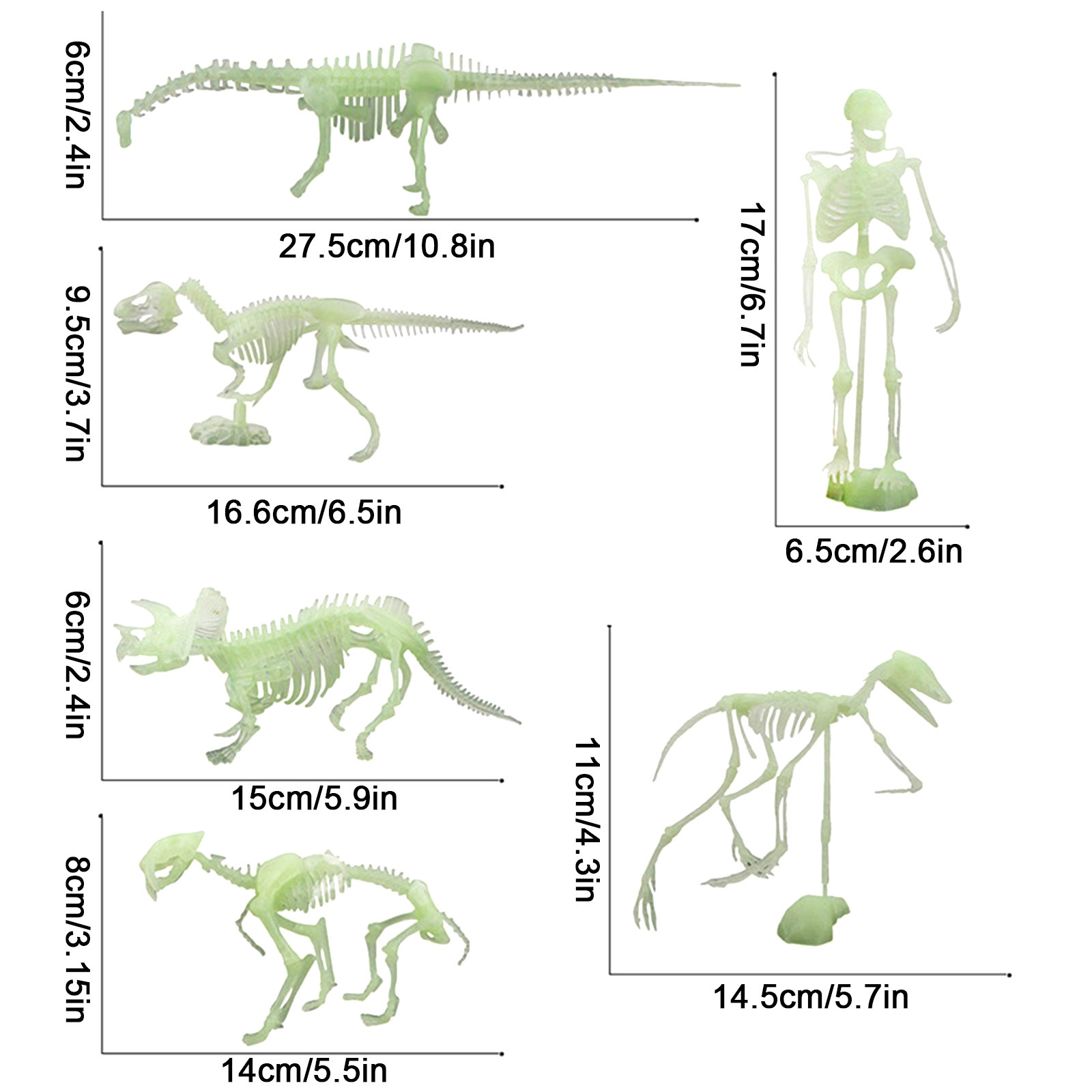 Fluorescentes de Dinossauro para Halloween Modelo de Esqueleto Ossos Humano Caveira Brinquedo Antiestresse Que Brilha no Escuro 3 Cheap Brinquedos que brilham no escuro