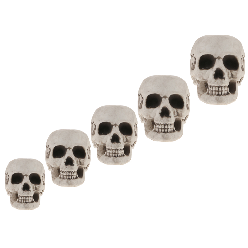 Plastic Skull Head Figurine Skeleton Model Statue Halloween Decoration Indoor Outdoor Home Table Desk Ornament Shop Display