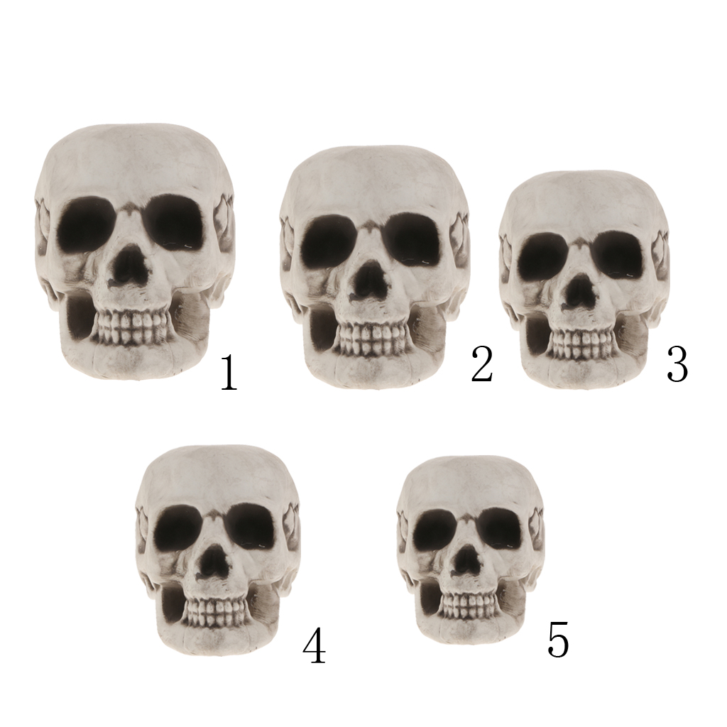 Plastic Skull Head Figurine Skeleton Model Statue Halloween Decoration Indoor Outdoor Home Table Desk Ornament Shop Display