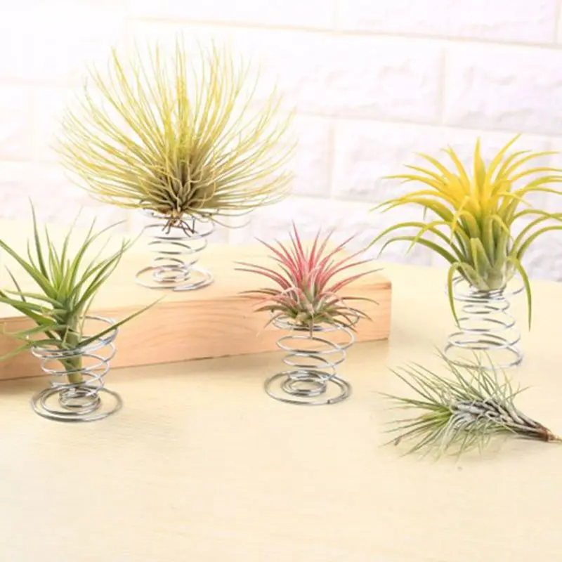 20 Pack Air Plant Stand Container Tillandsia Holder, Stainless Steel Wire Stand Plant Display Racks - Silver