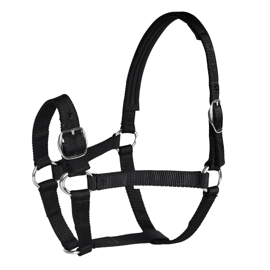 Adjustable Equestrian 4.3ft - 5.4ft Horse Halter - Designed for Training, Trailering and Lunging