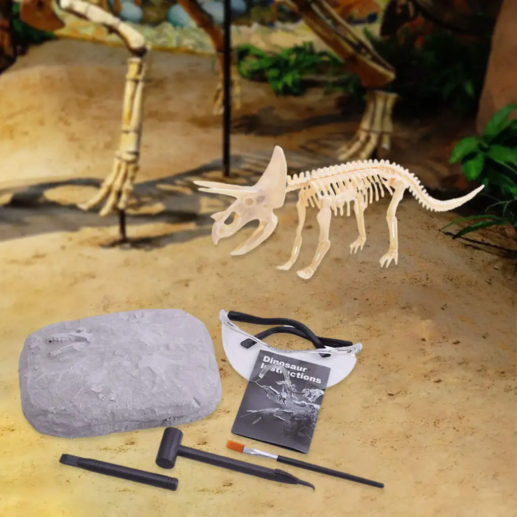 Dinosaur Skeleton Excavation Kit Paleontology and Archaeology Activity for Enthusiasts