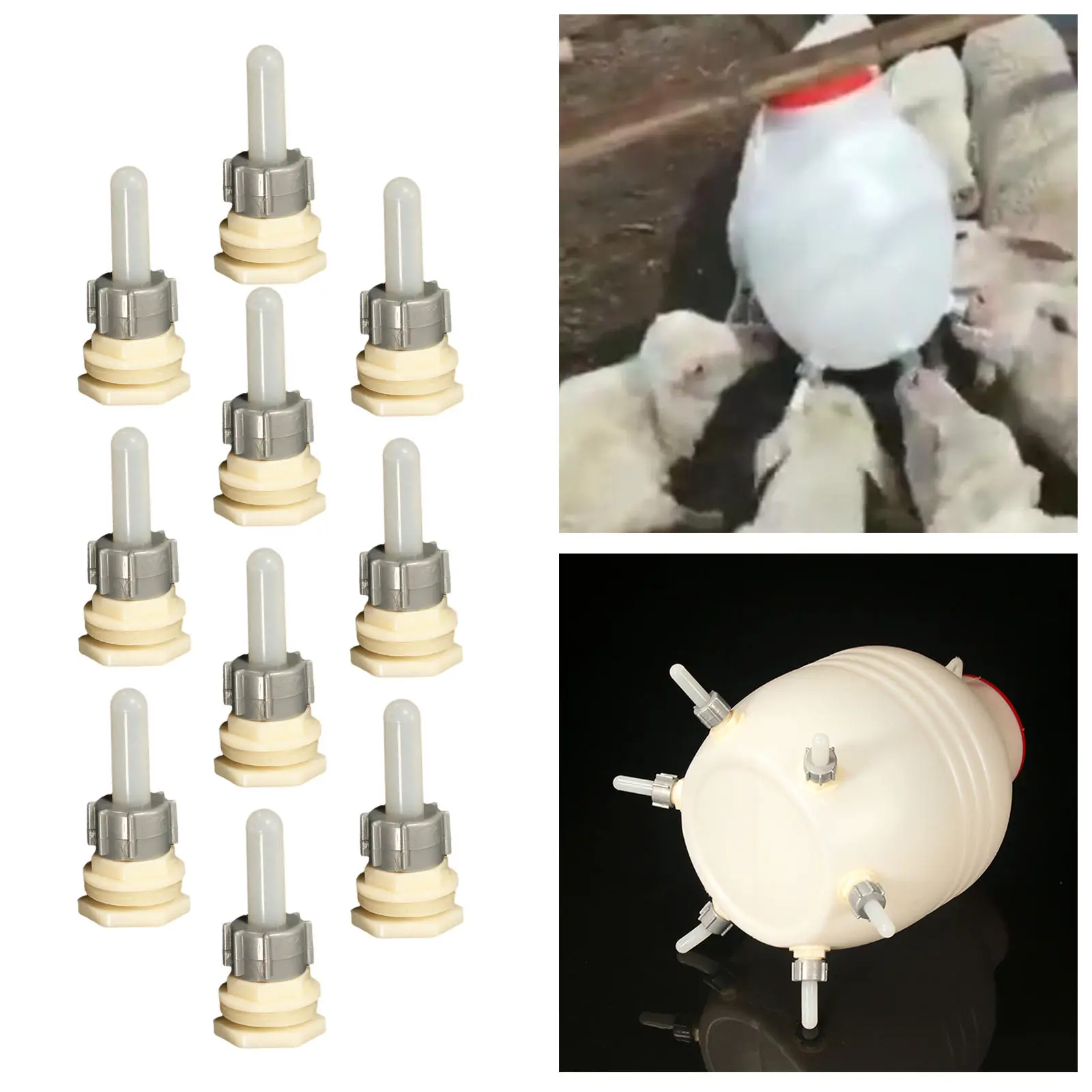 NEWMIND Set of 10 Silicone Lamb Nipples Feeder Bottle Topper for Nursing Poultry 