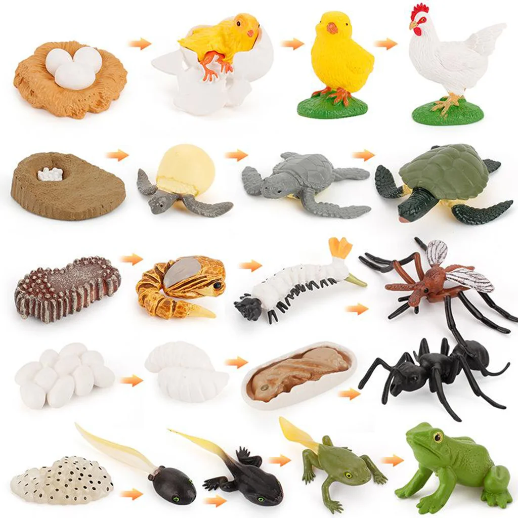 Kids Child Animals Growth Process Figure Toy Set Models Playset Nature Gifts