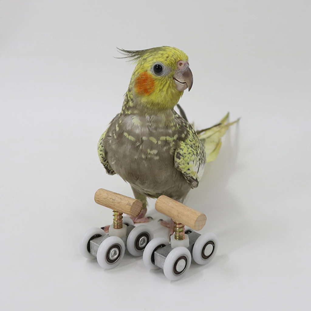 Pet Playground Tabletop Parrot Roller Ice Skates Toys Bird Play Gym Foot Toy