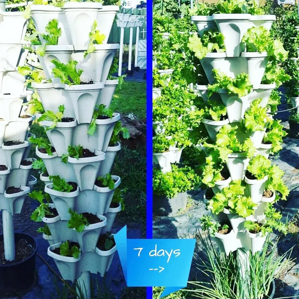 3 oder 5 X Stapelbar Plastik 3 Pflanzen Blumentöpfe Topfhalter Kräuter Garten 1 