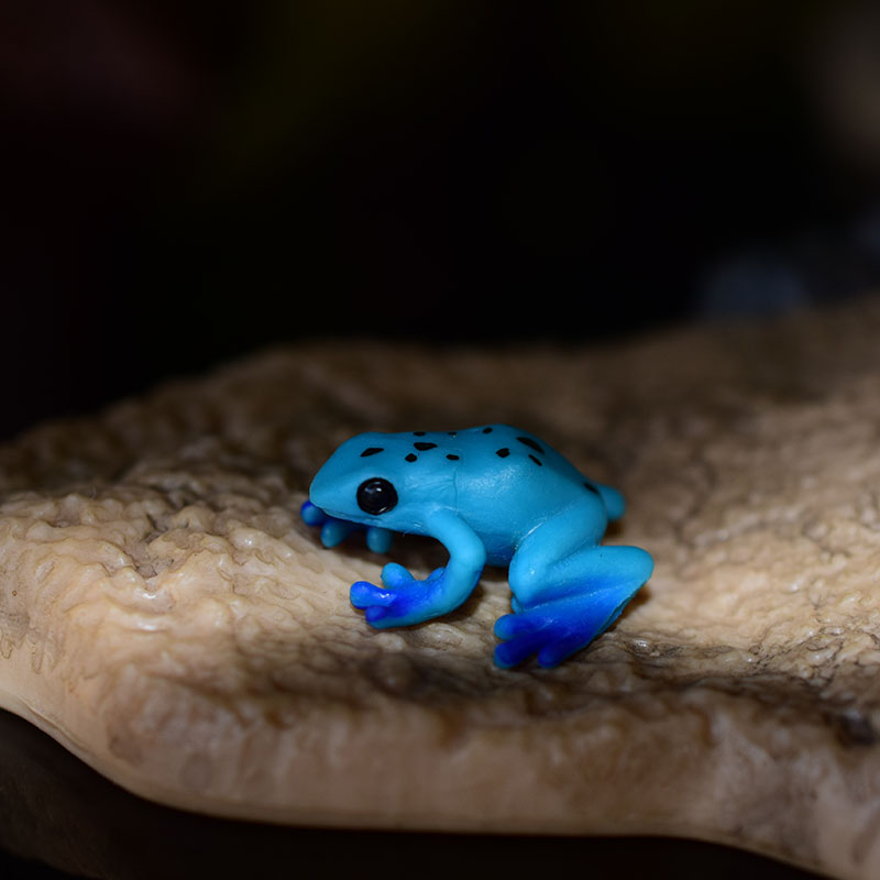 Miniature Oceans Animal Model Turtle Alligator Whale Shark Dolphin Penguin Clownfish Frog Sea World Mini Figurine Decor Toys