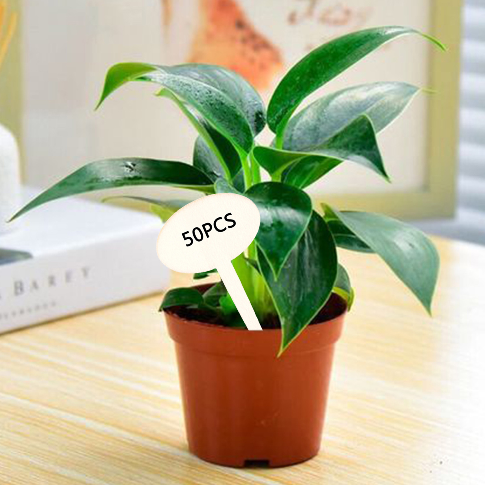 50Pcs Plant Labels Flowers Succulent T-Shaped Wooden Markers Name Tags Sign