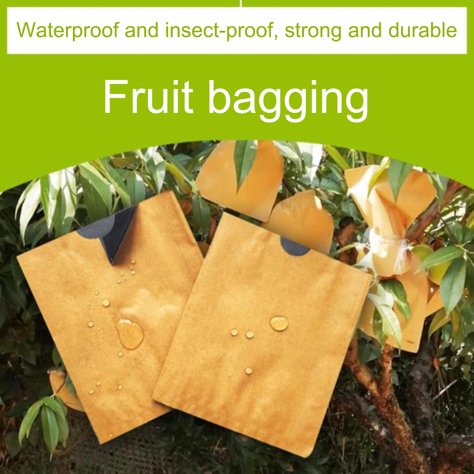 Proteção Papel Celulose, Reutilizável Fruit Care Bag,