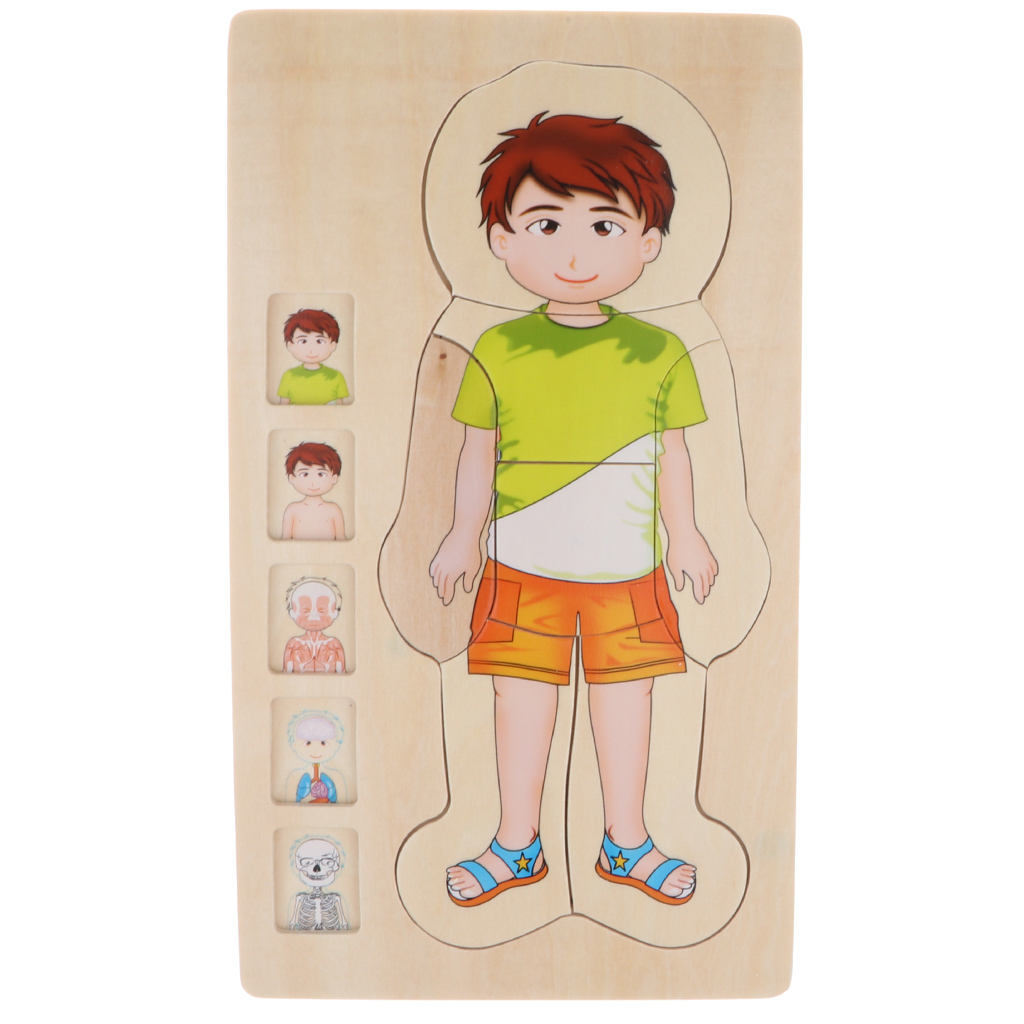 Educational Puzzles, Wooden Multi-Layer Puzzle Human Body Structure Puzzle Kids Preschool Educational Wooden Toys