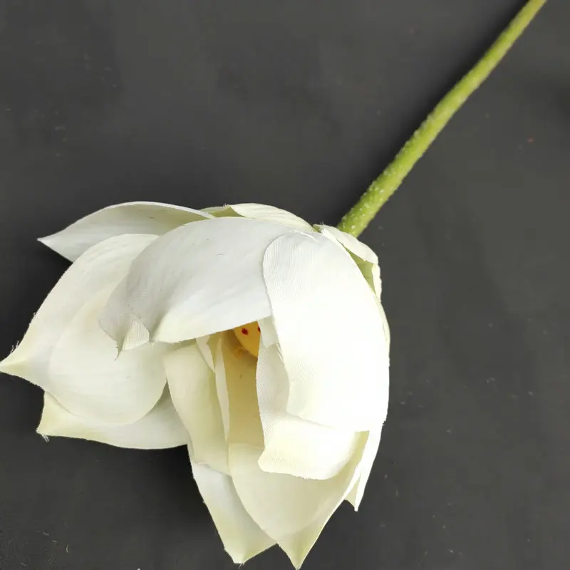 Una sola flor blanca con un centro amarillo, que parece ser un tipo de lirio o una flor similar. La flor está en plena floración, con los pétalos completamente abiertos, dejando al descubierto los estambres y el pistilo en el centro.