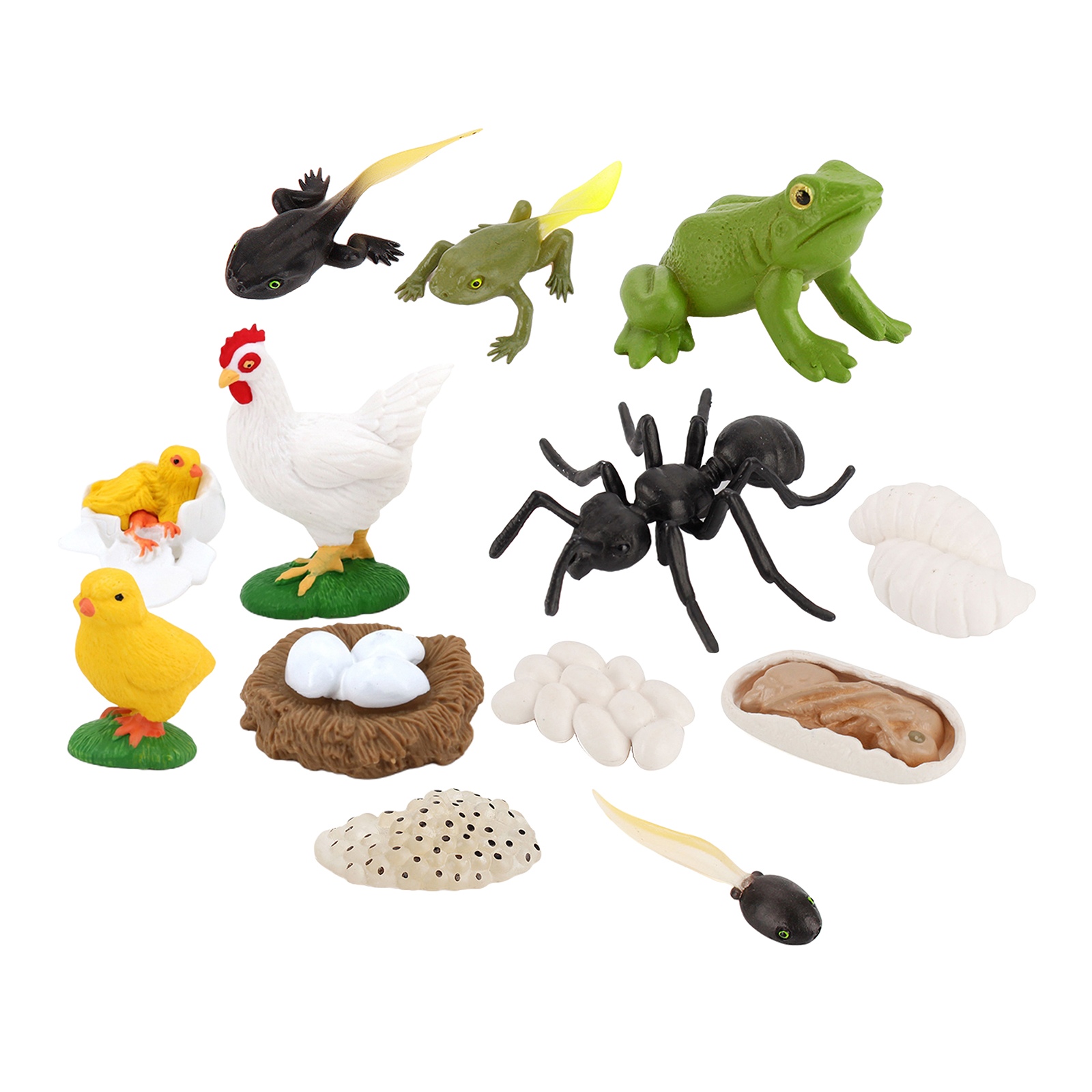 Kids Simulation Animal Figures Worker Ant Hen Frog Growth Process Playset