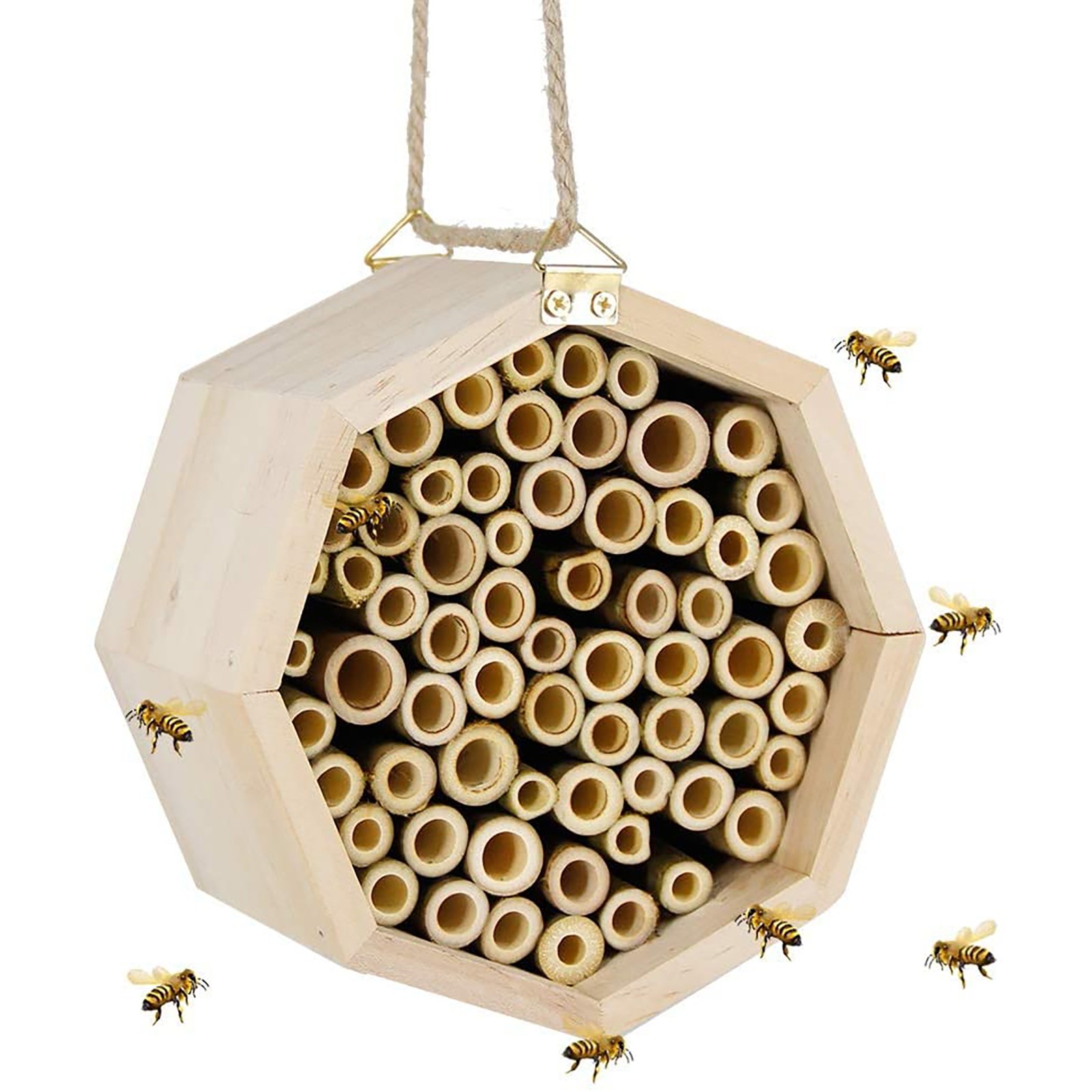 Mason tube. Bee House.