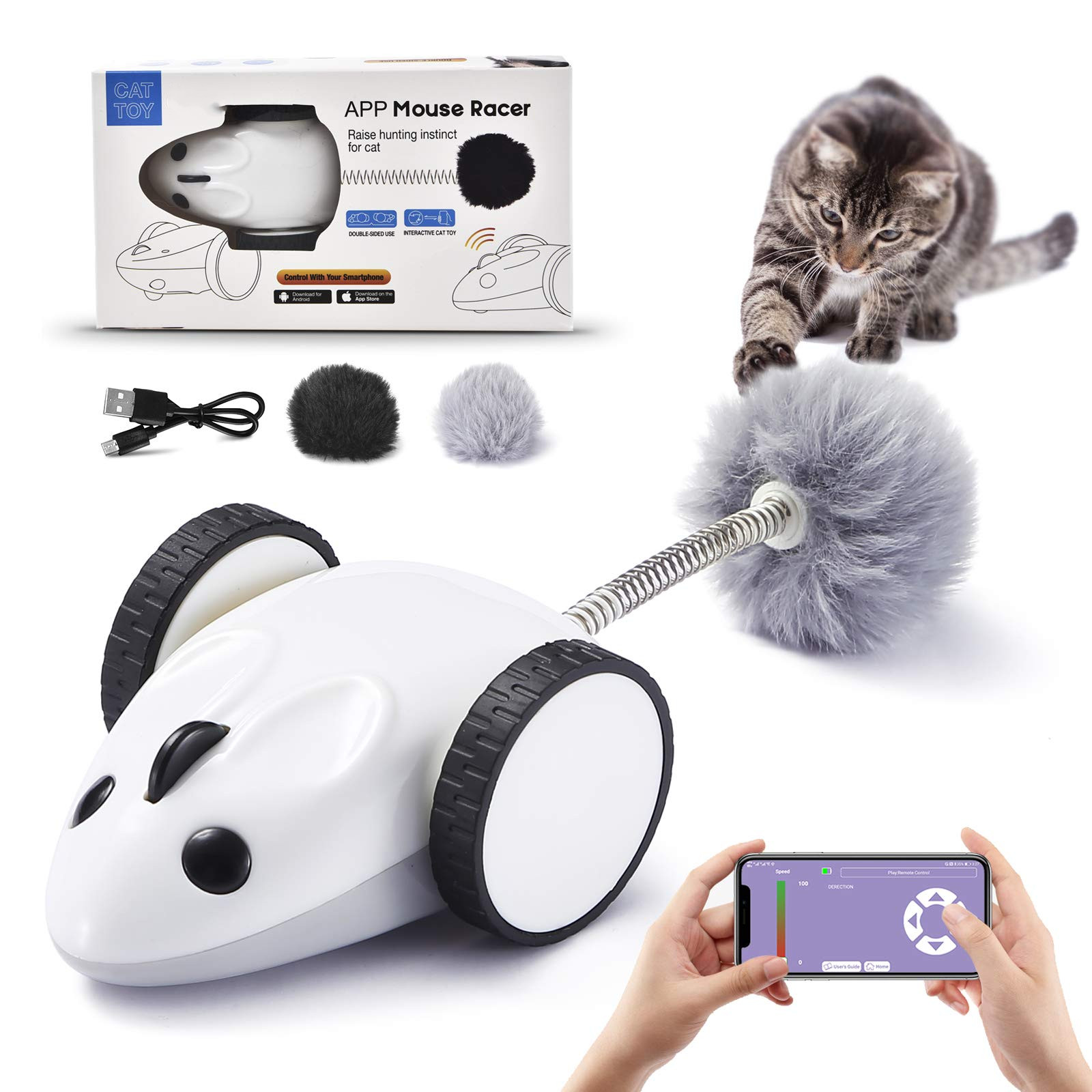 cat toy mouse racer
