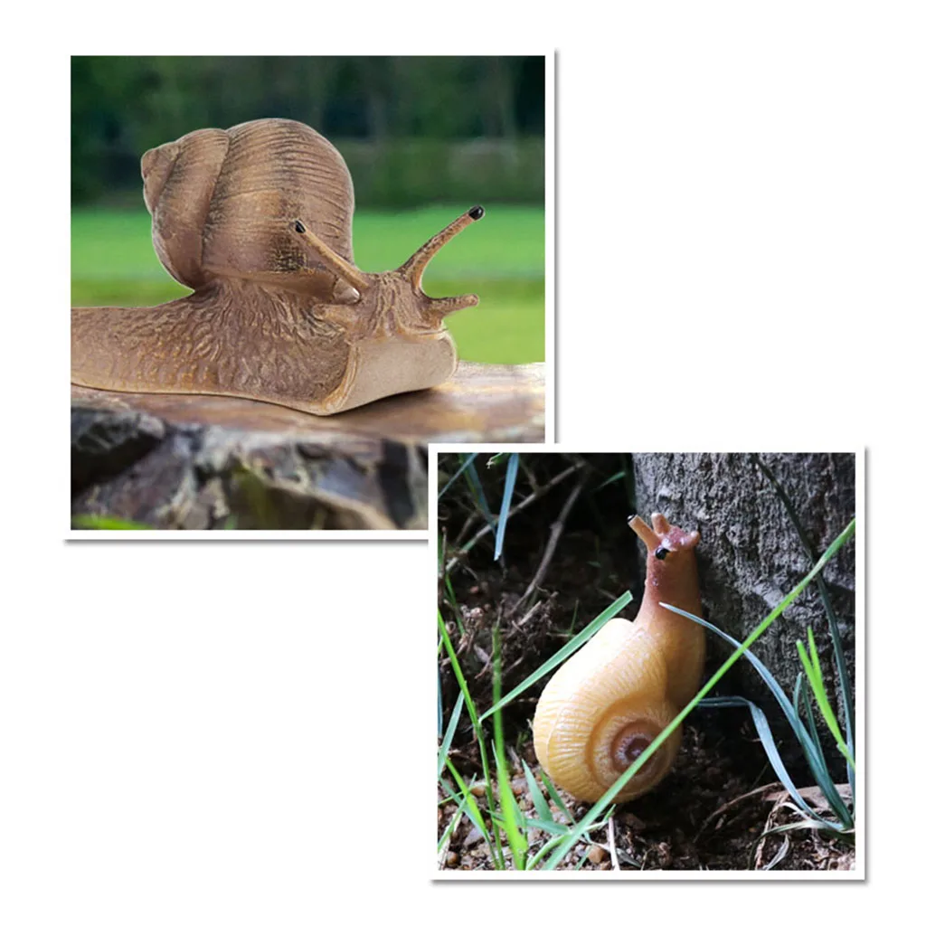 Realistic Lifelike Life Cycle Figurine of a Snail Growth Cycle Insect Animals Action Figures Educational Biology Science Toy