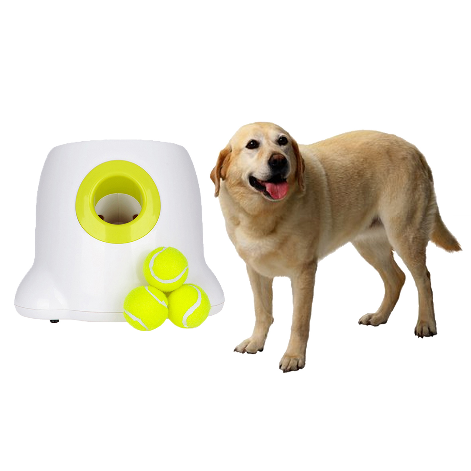 ball throwing toys for dogs