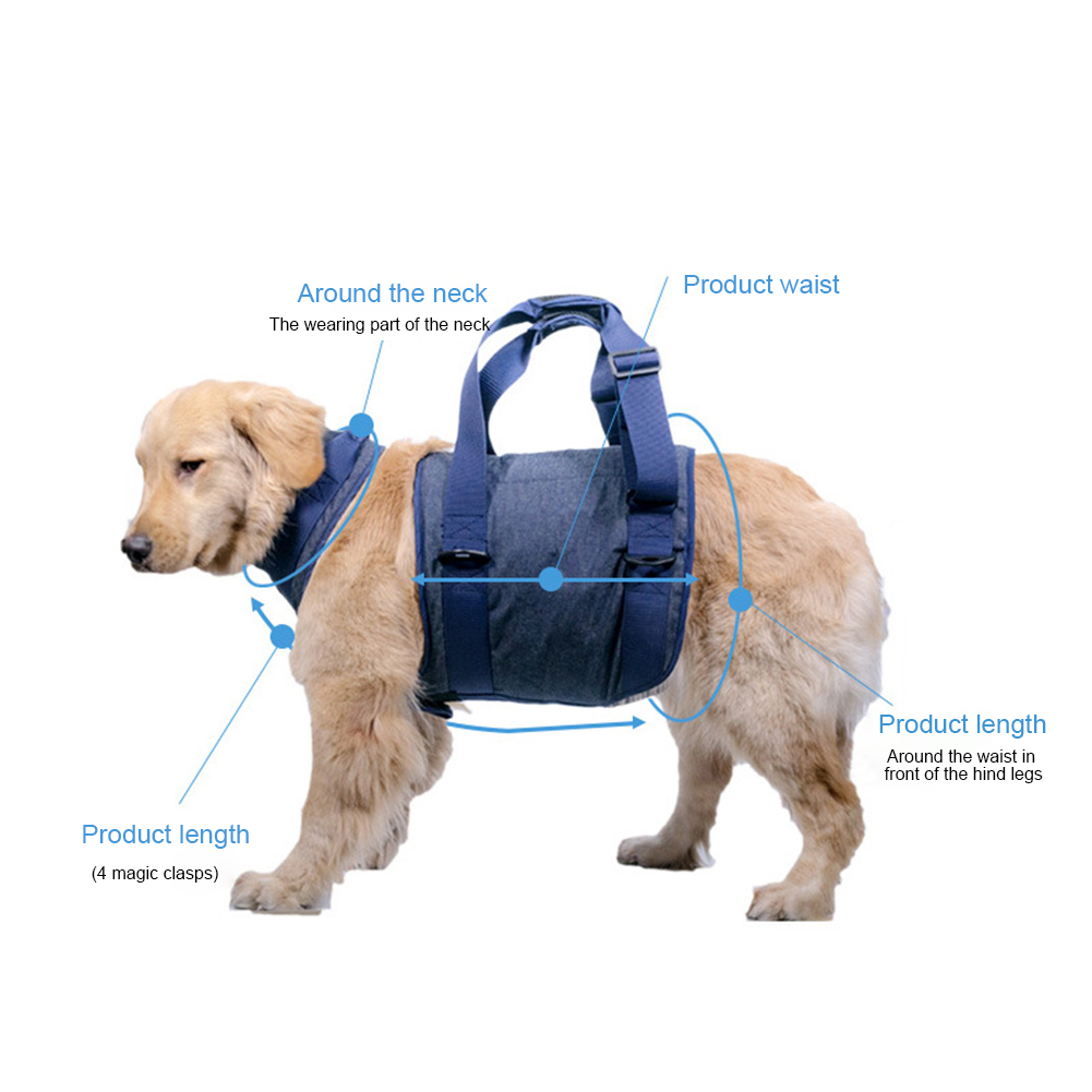 apoio ajustável andando suporte para animais de