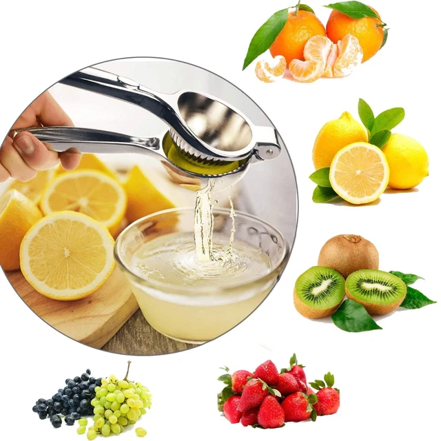 GWONG Portable Kitchen Lemon Citrus Orange Zester Stainless Steel Fruit  Peeling Tool