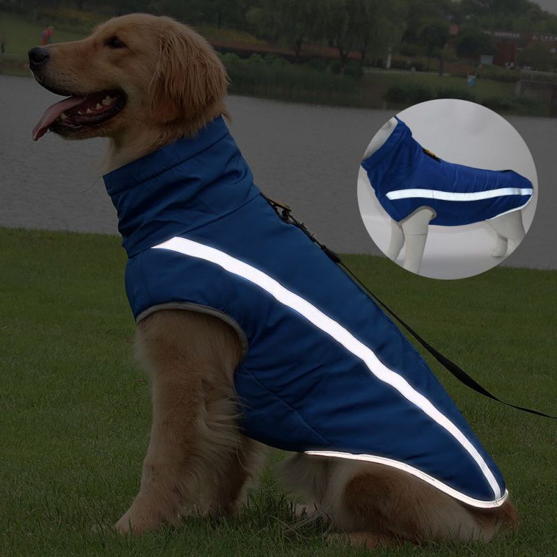 dog ice pack jacket