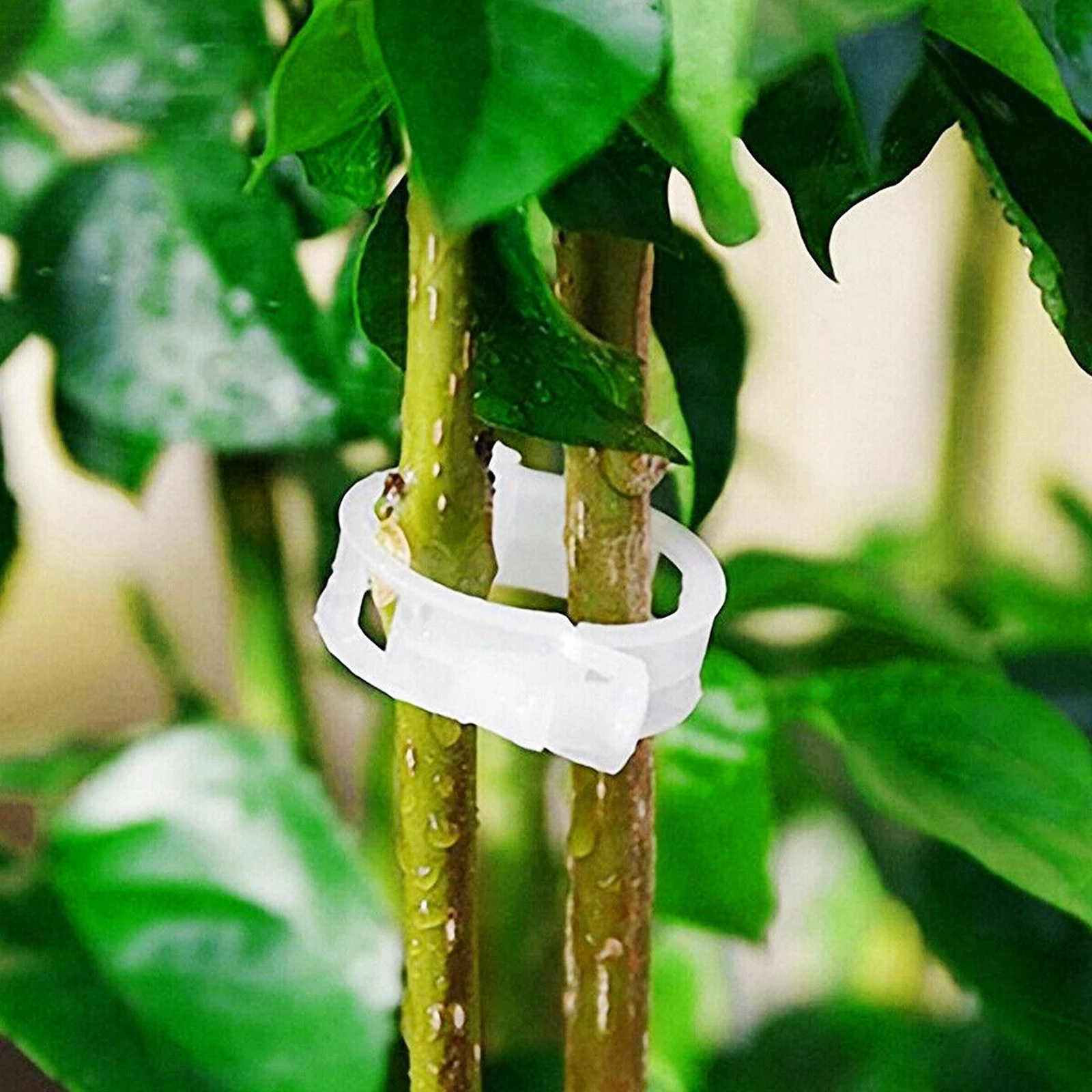 100 Tomato Grafting Clips Supports Plants/Vines Easily Connects to Trellis/Twine 