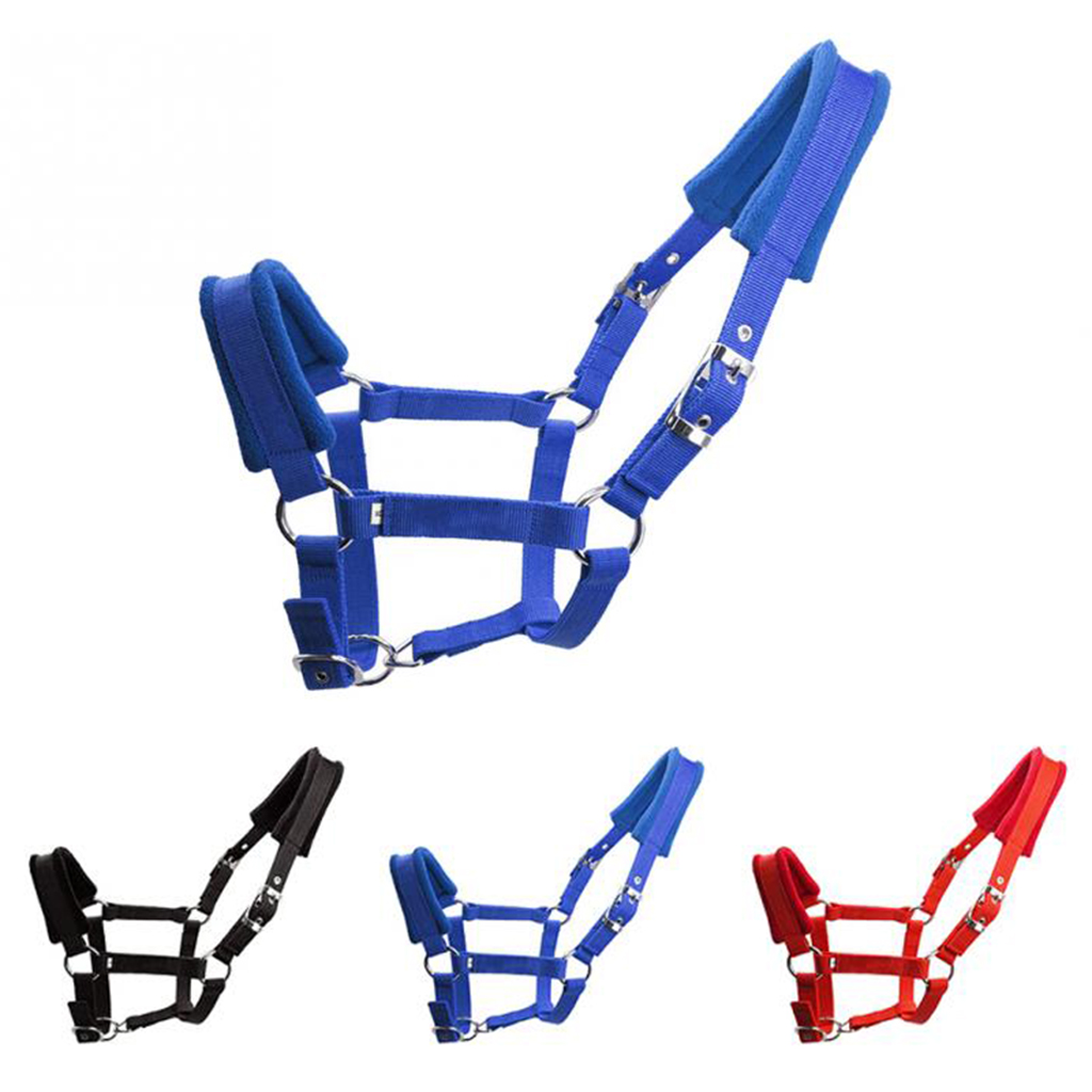 Padded Pony Cob Horse Halter Bridle Rein Equestrian Adjustable Head Collar Strap