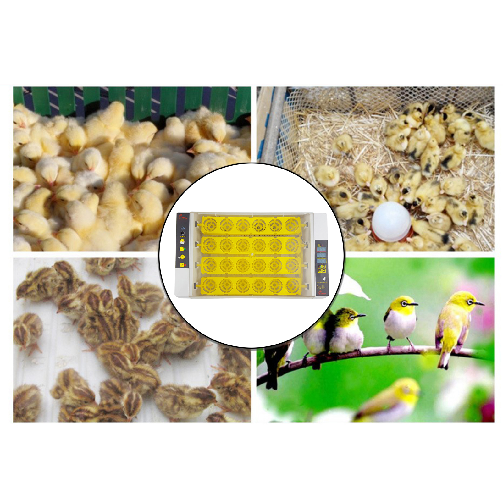 24 Digital Incubator Hatcher Automatic Egg Turning for Hatching Duck Goose