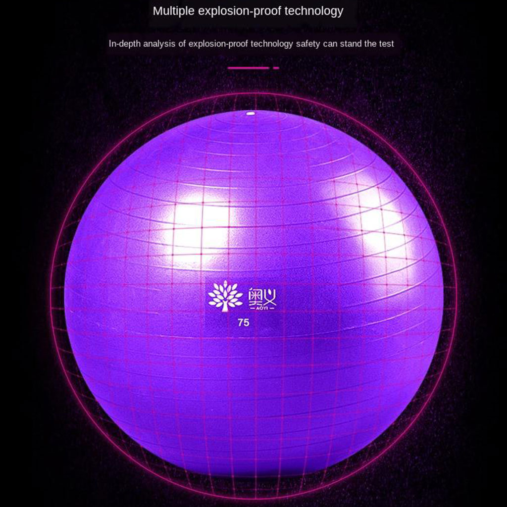 75cm Exercise Ball Gym Yoga Fitness Anti-burst Leg Workout Balance Trainer With Air Pump for Balance, Stability, Yoga & Pilates