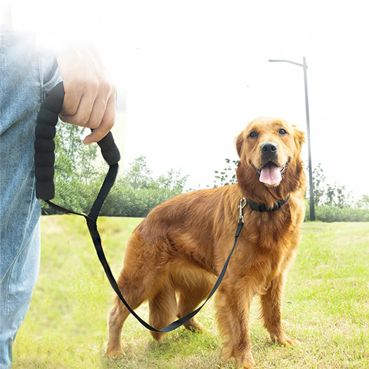 New Long Dog Leash Rope Comfortable Sponge Handle Pet Lead Belt Outdoor Training Dog Lanyard for Small Medium Large Dogs Product