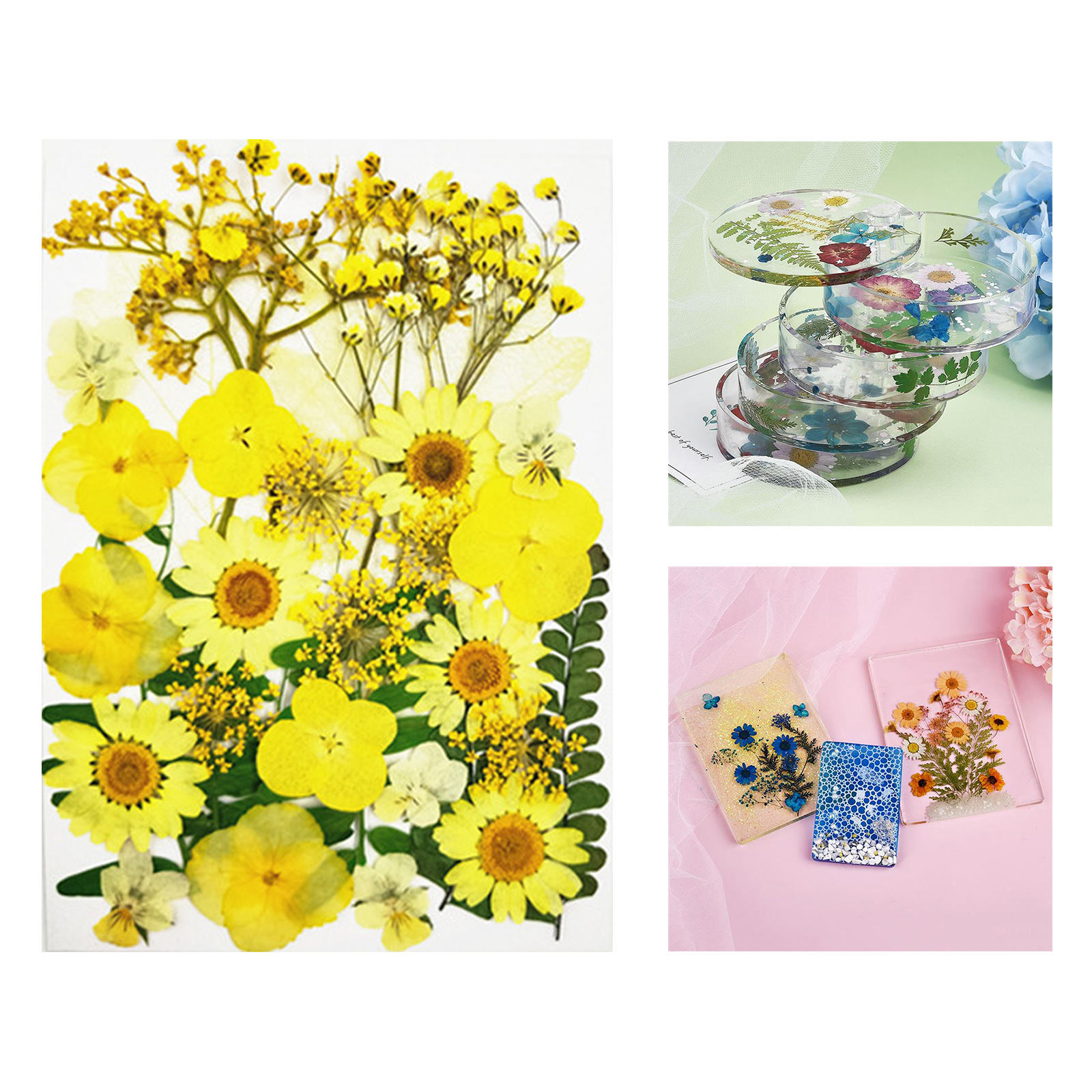 Real Natural Mixed Dried Pressed Flowers Leaves Petals for Nail Art, DIY Jewelry Design, Resin Phone Case,  Card, Stationery