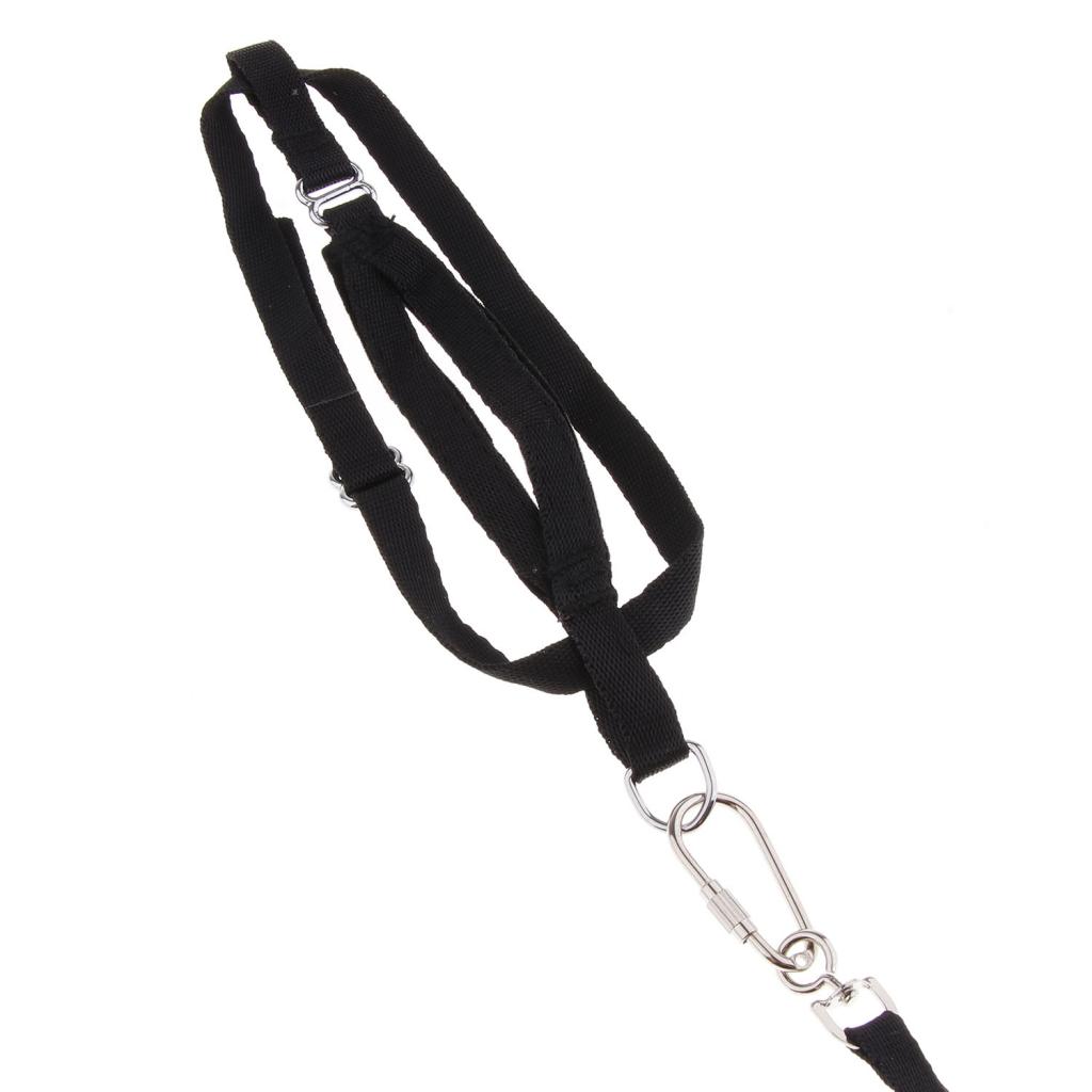 Parrot Adjustable Bird Harness and Leash Outdoor Walking Safe Traction Rope