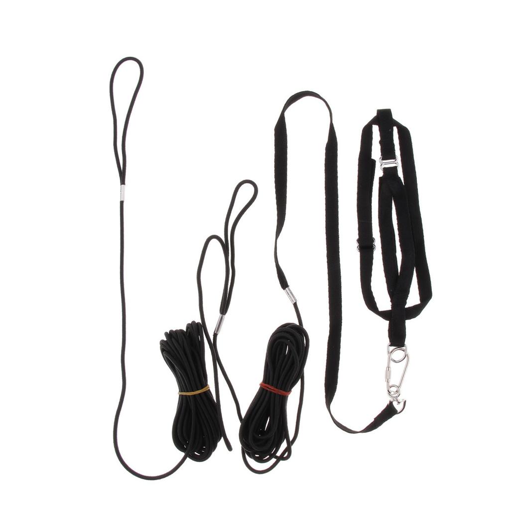 Parrot Adjustable Bird Harness and Leash Outdoor Walking Safe Traction Rope