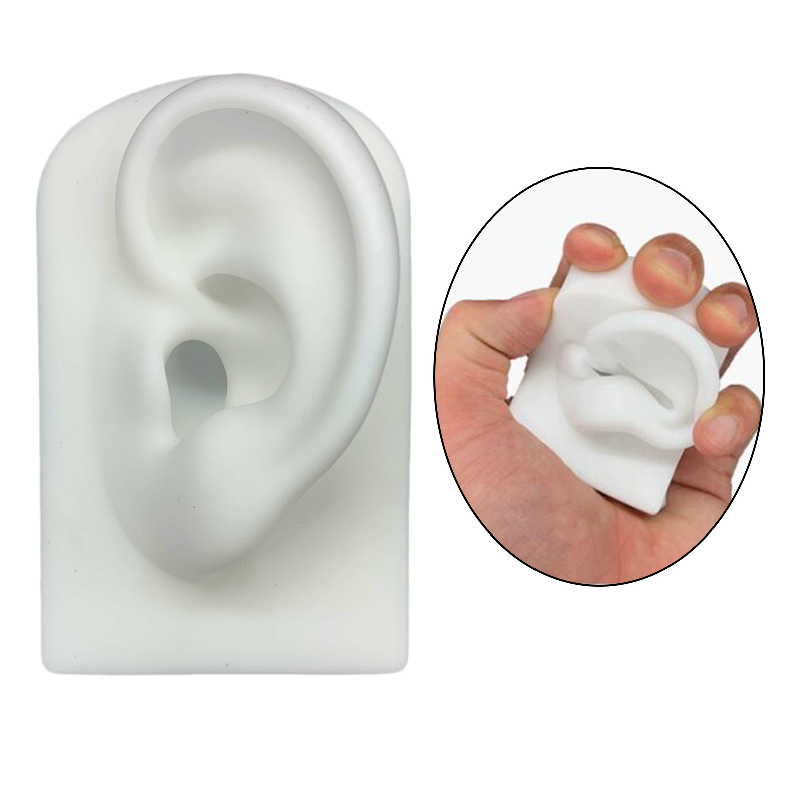 Ear Model Human Body Part Model Simulation Silicone Artificial Ear Model Soft Silicone Human Ear Model