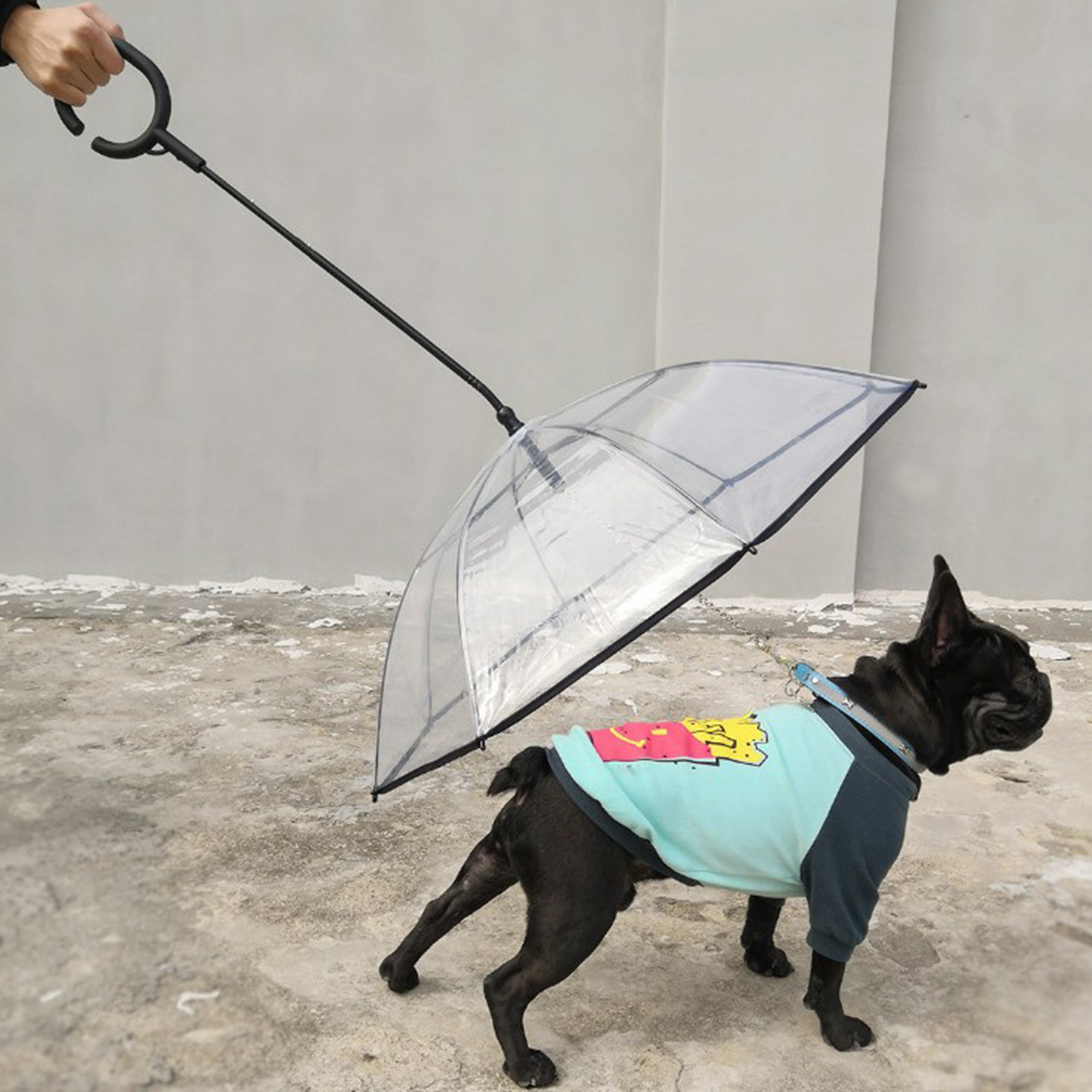 Dog Umbrella with Leash Pet Outdoor Rainproof Supplies, diameter 70cm