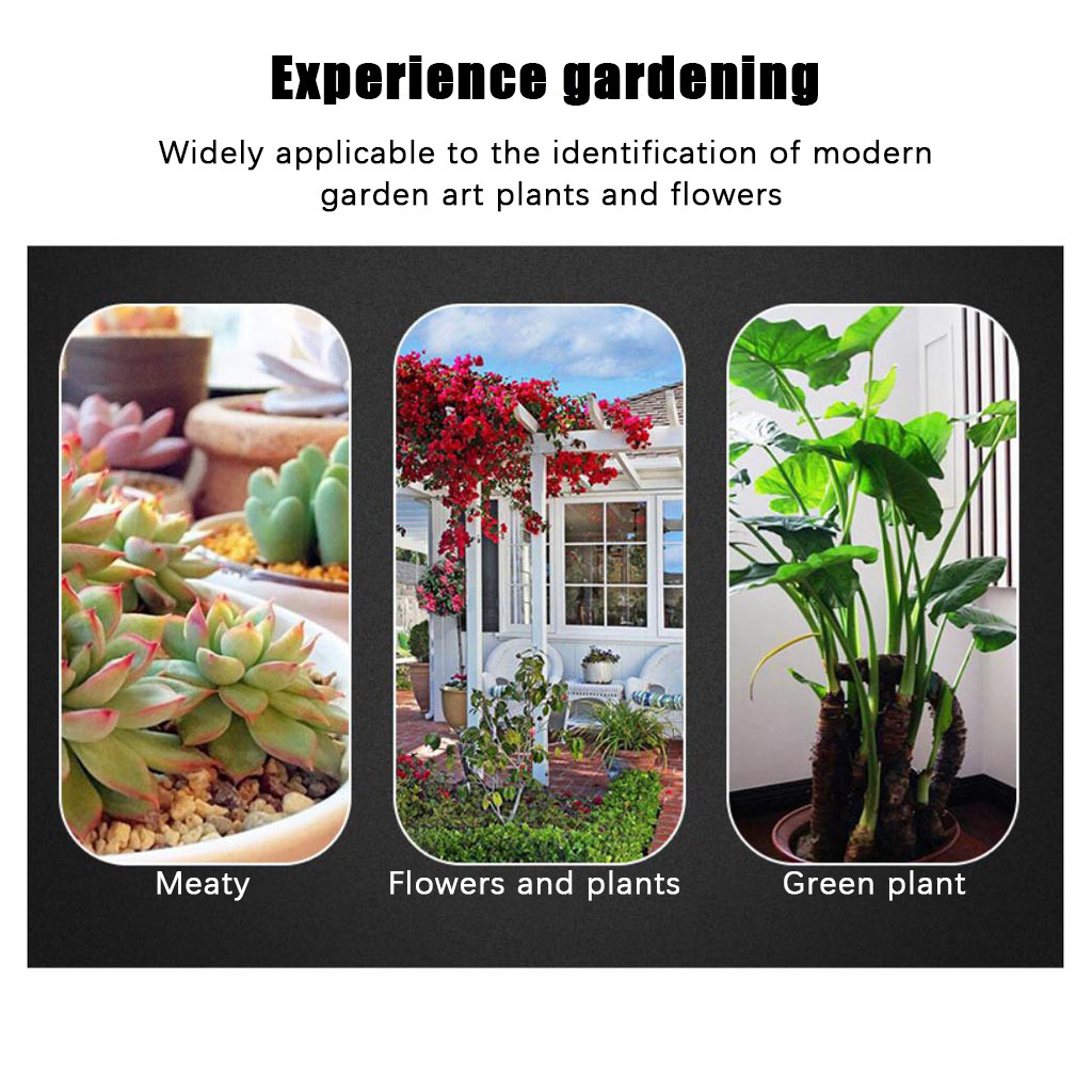 20 Étiquettes De Jardin En Bois - Forme T Pour Plantes, Légumes, Fleurs - WANTOUTH - Réutilisables